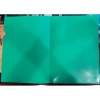 Capa dossier A4 Polipropileno Verde Translúcido