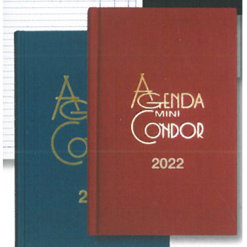 Agenda Mini Condor 2022 100X160mm Diária Preta