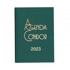 Agenda Mini Condor 2023 100X160mm Diária Verde